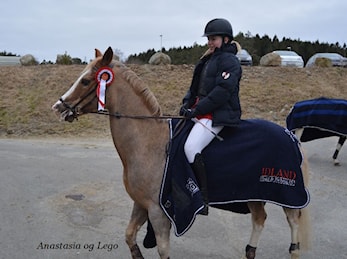 D-stevne Sandnes og Jæren Rideklubb 03-04. mars 2018